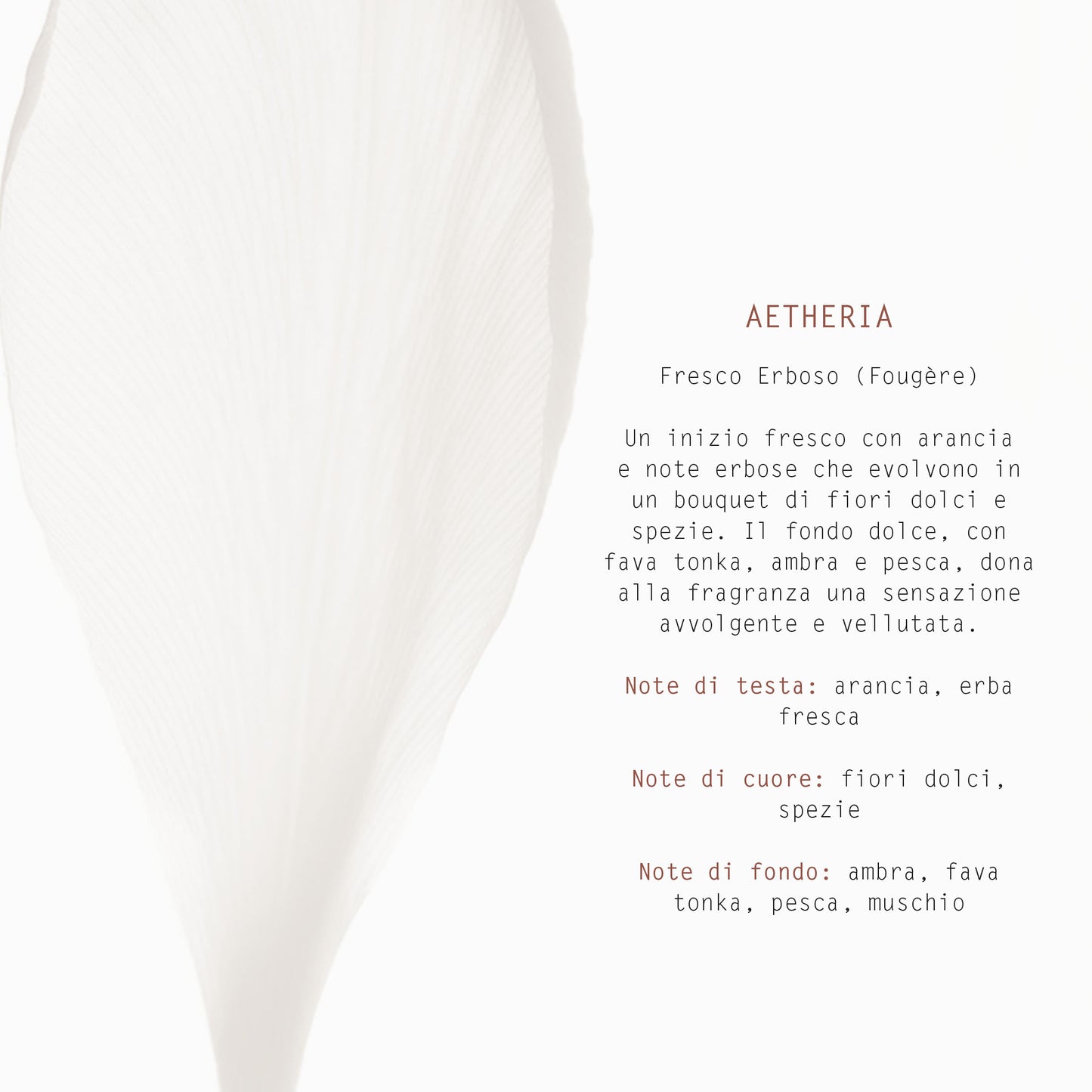 SPRAY AMBIENTE & TESSUTI 50 ml AETHERIA