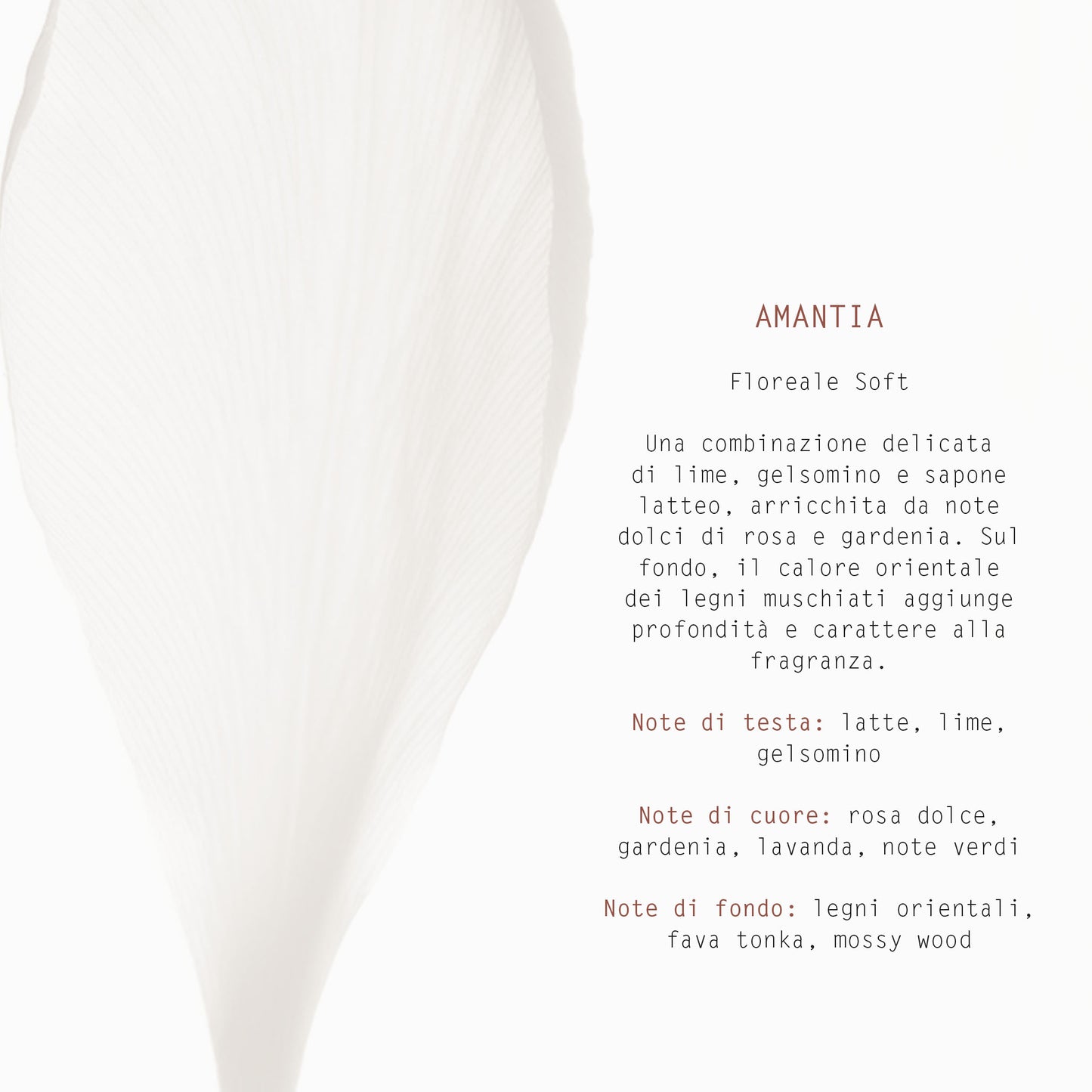 DIFFUSORE CON BASTONCINI 200 ml AMANTIA