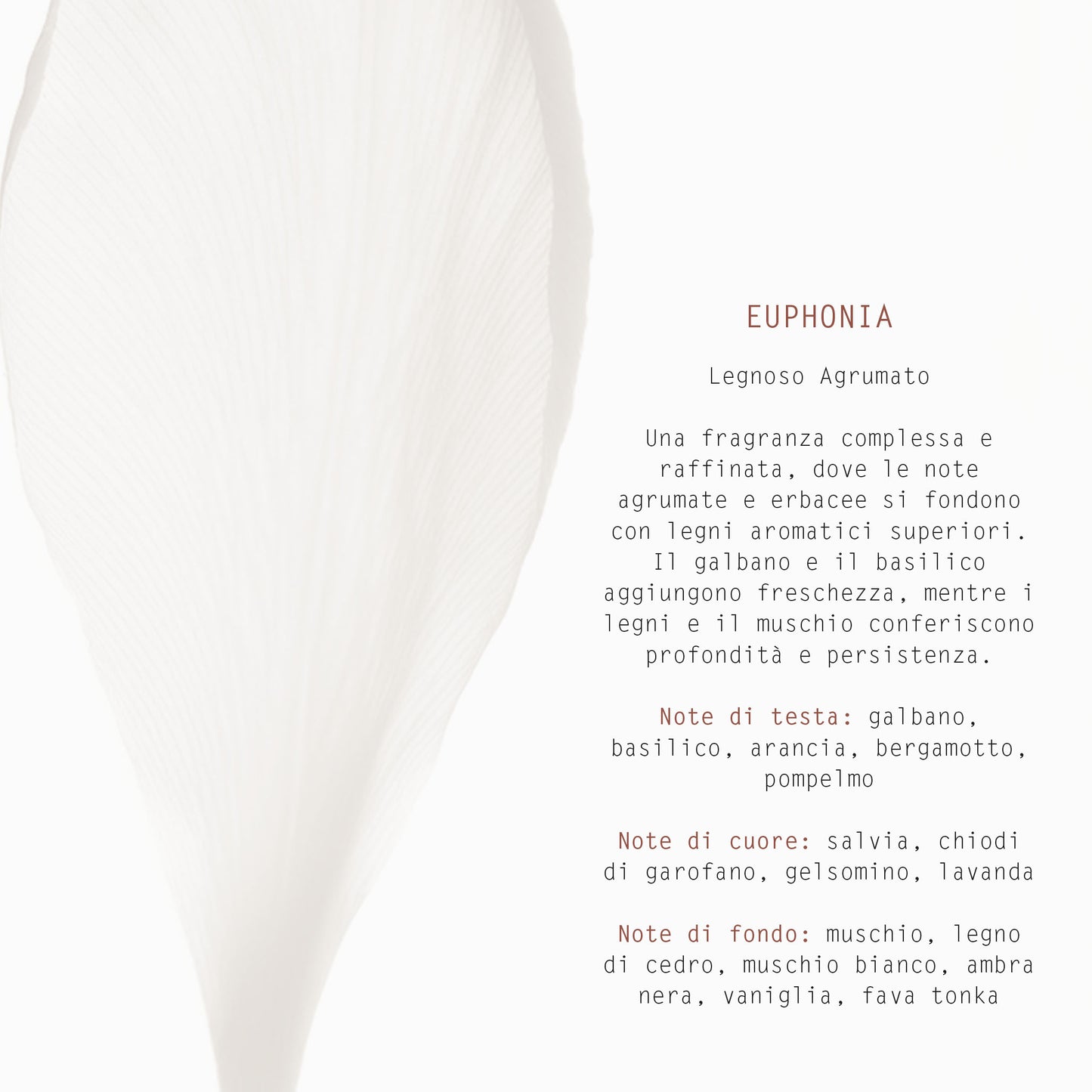 DIFFUSORE CON BASTONCINI 500ml EUFONIA