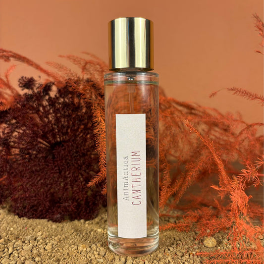 SPRAY AMBIENTE & TESSUTI 50 ml CANTHERIUM