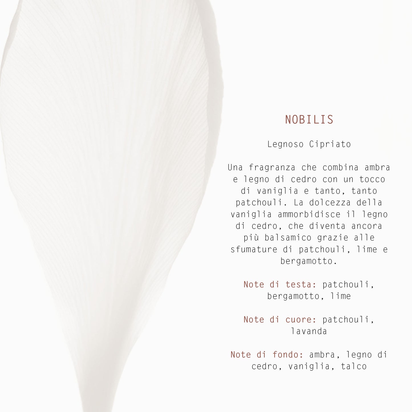 DIFFUSORE CON BASTONCINI 200 ml NOBILIS